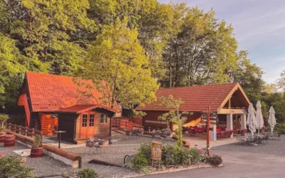 Ljeto u hladu Bajkovite šume – mjesto za predah, okuse i priče